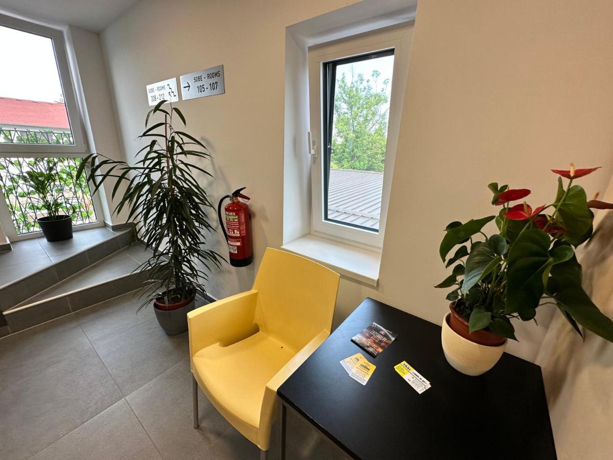 Villa Magdalena Apartments & Rooms Maribor Bagian luar foto